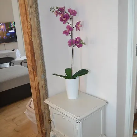 Kooli Apartement Lägenhet Pärnu